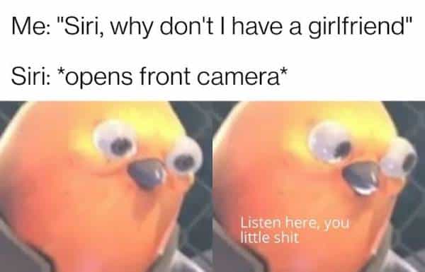 Me: "Siri, why don't I have a girlfriend" Siri: *opens front camera*