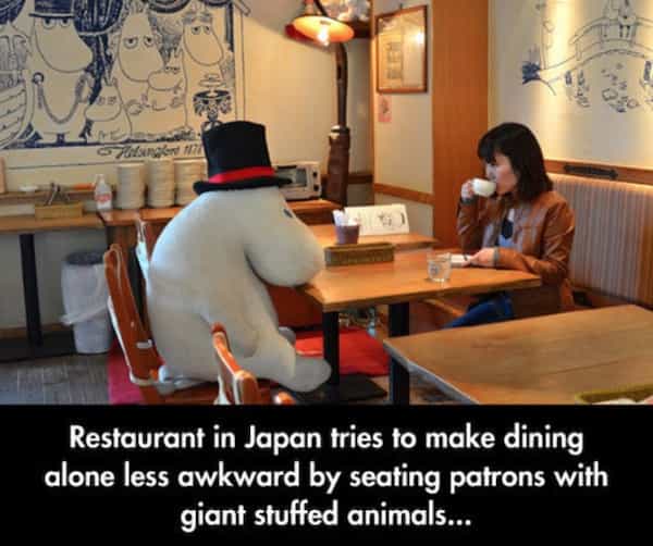 Restaurant in Japan tries to make dining alone less awkward by seating patrons with giant stuffed animals...