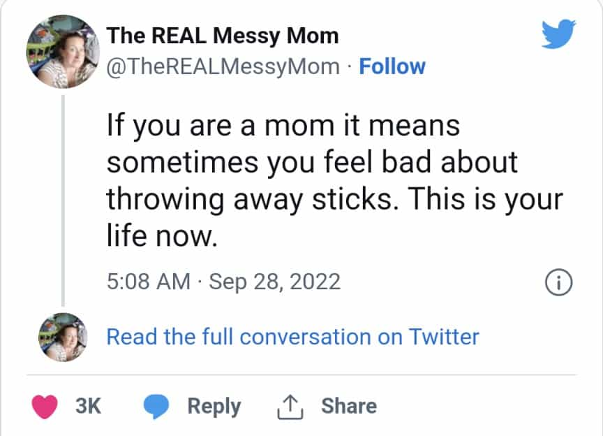 If you are a mom it means sometimes you feel bad about throwing away sticks. This is your life now.