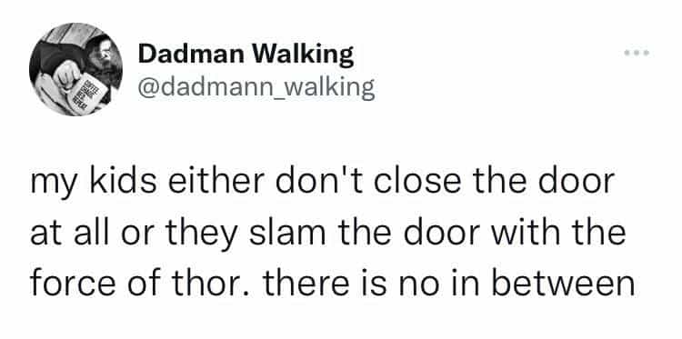 my kids either don't close the door at all or they slam the door with the force of thor. there is no in between