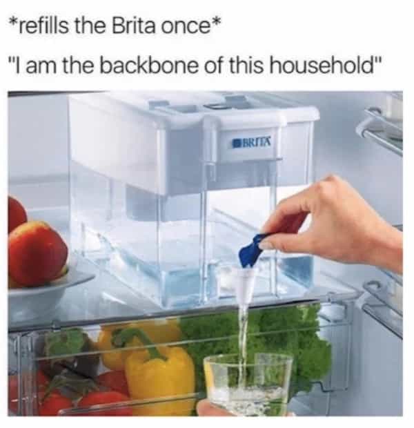*refills the Brita once* "I am the backbone of this household"