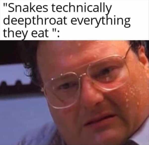 "Snakes technically deepthroat everything they eat":
