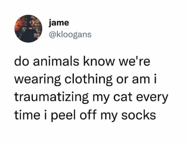 do animals know we're wearing clothing or am i traumatizing my cat every time i peel off my socks