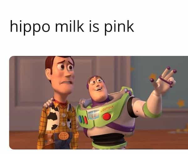 hippo milk is pink