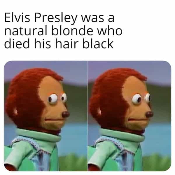 Elvis Presley was a natural blonde who died his hair black