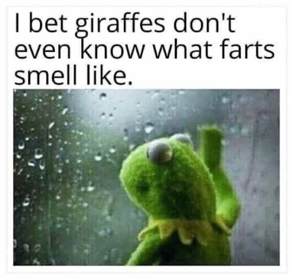 I bet giraffes don't even know what farts smell like.