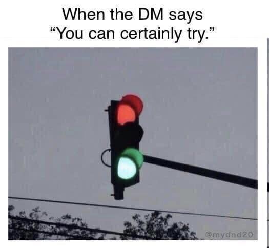 When the DM says "You can certainly try."