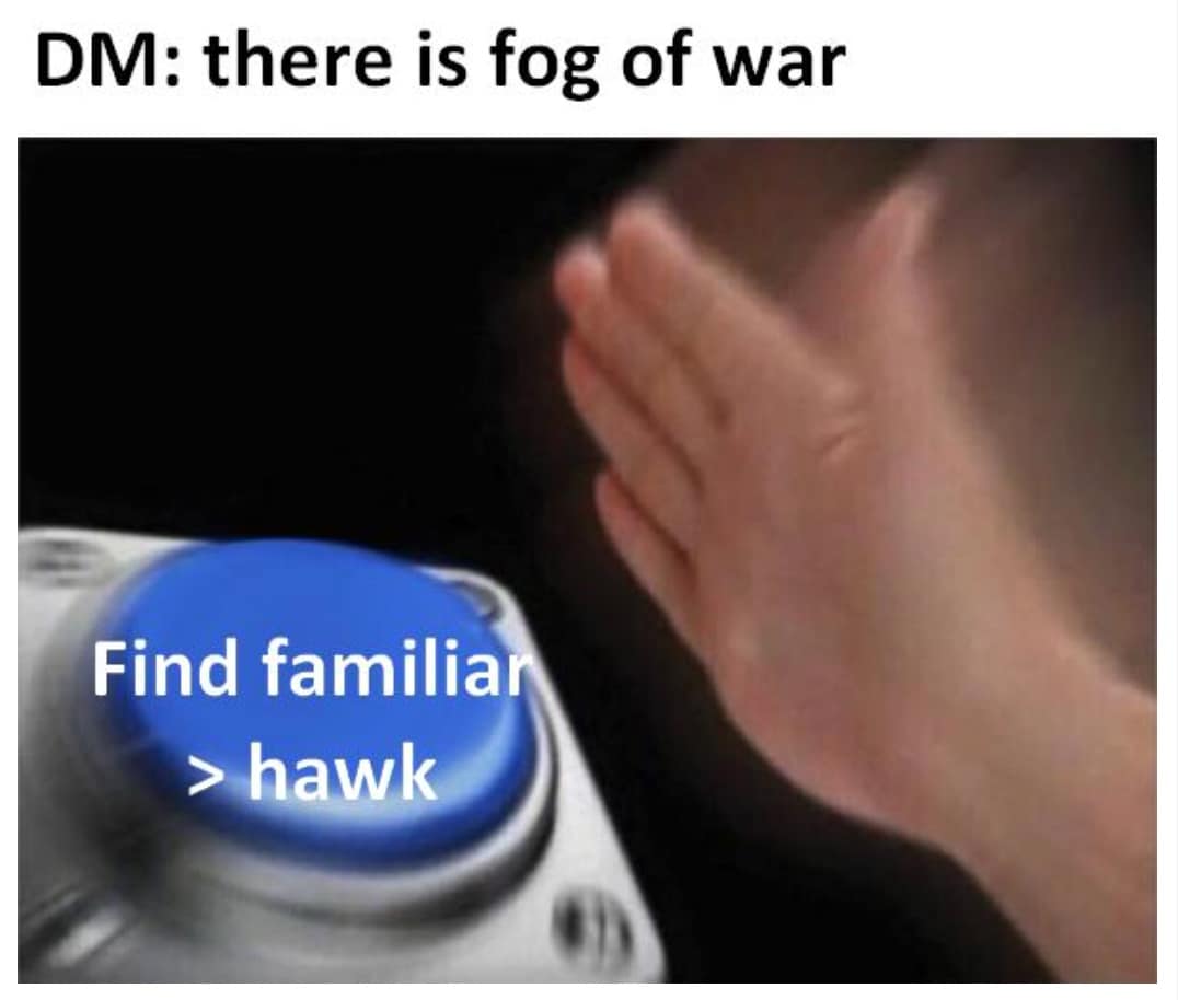 DM: there is fog of war Find familiar > hawk