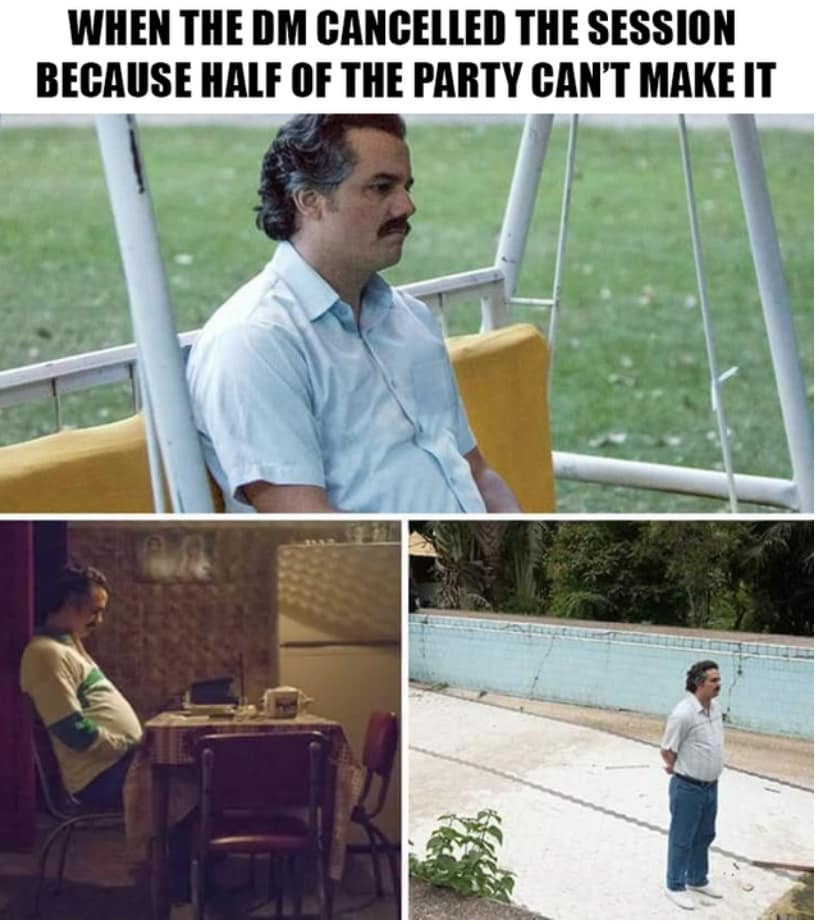 WHEN THE DM CANCELLED THE SESSION BECAUSE HALF OF THE PARTY CAN'T MAKE IT