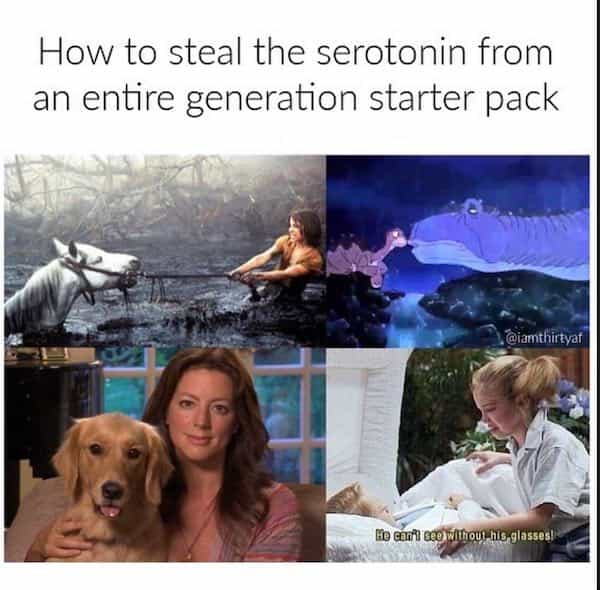 How to steal the serotonin from an entire generation starter pack
