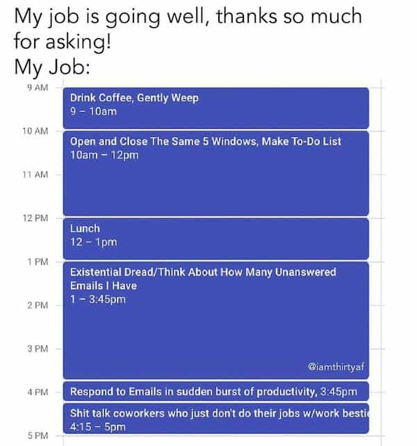 My job is going well, thanks so much for asking! My Job: 9 AM Drink Coffee, Gently Weep