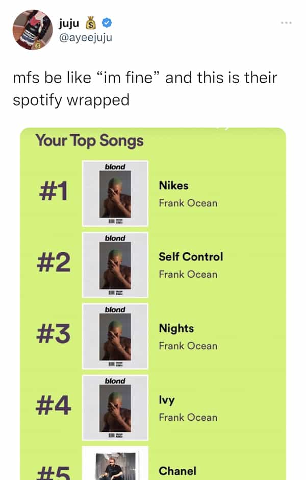 mfs be like "im fine" and this is their spotify wrapped