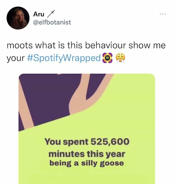 You spent 525,600 minutes this year being a silly goose