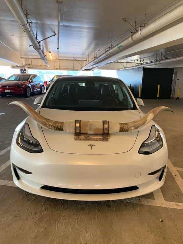 bull horns on Tesla