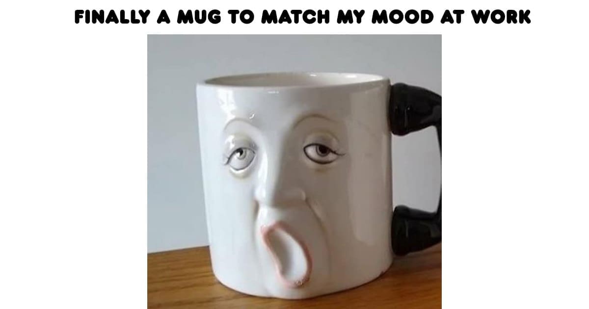 Funny thrift store finds