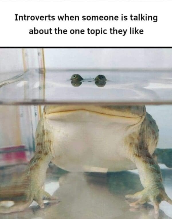 Frog Memes That Are Totally Ribbitting (30 MEMES)