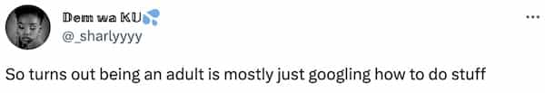 So turns out being an adult is mostly just googling how to do stuff