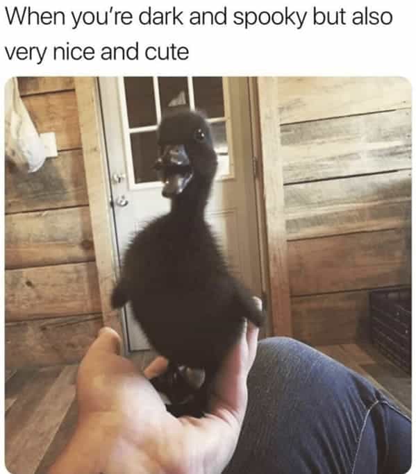 When you're dark and spooky but also very nice and cute
