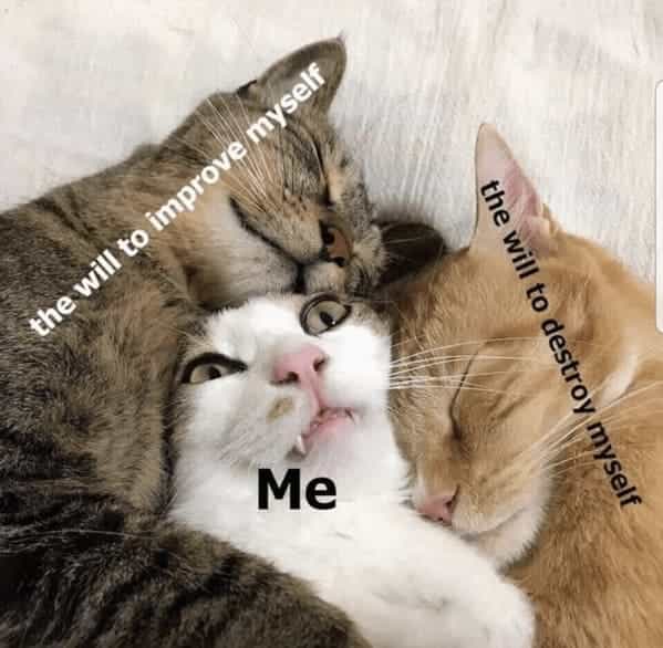 the will to improve myself Me the will to destroy myself