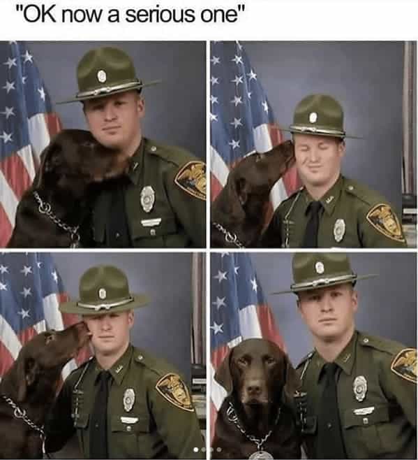 "OK now a serious one"