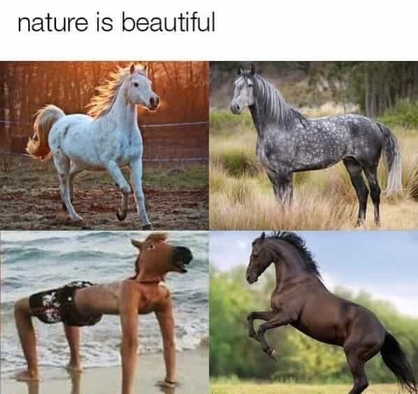 nature is beautiful