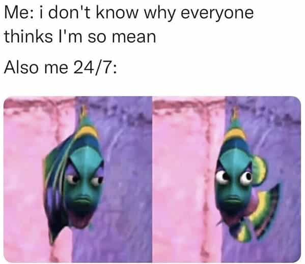 Me: i don't know why everyone thinks I'm so mean Also me 24/7: