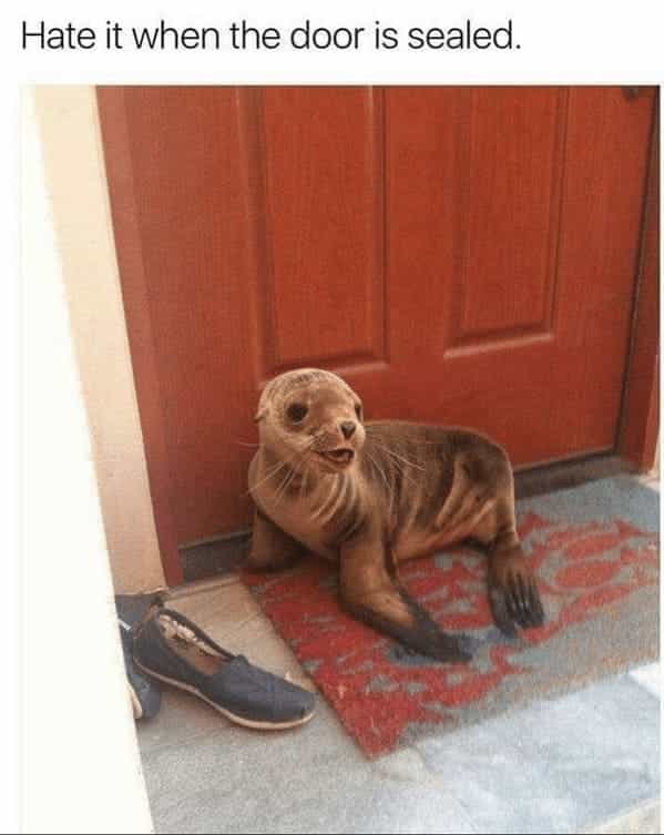 Hate it when the door is sealed.