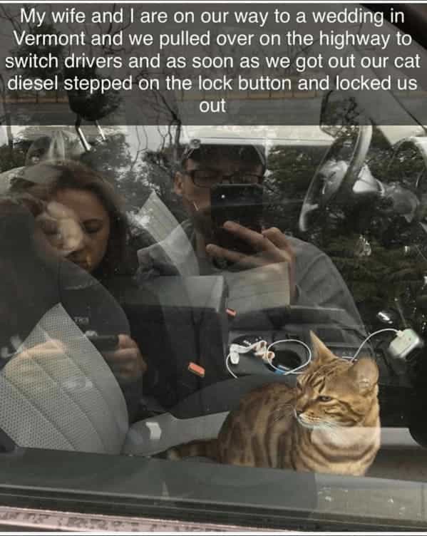 My wife and I are on our way to a wedding in Vermont and we pulled over on the highway to switch drivers and as soon as we got out our cat diesel stepped on the lock button and locked us out