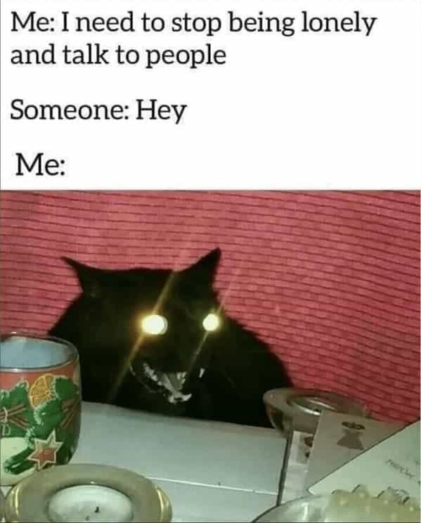 Me: I need to stop being lonely and talk to people Someone: Hey Me: