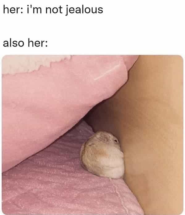 her: i'm not jealous also her: