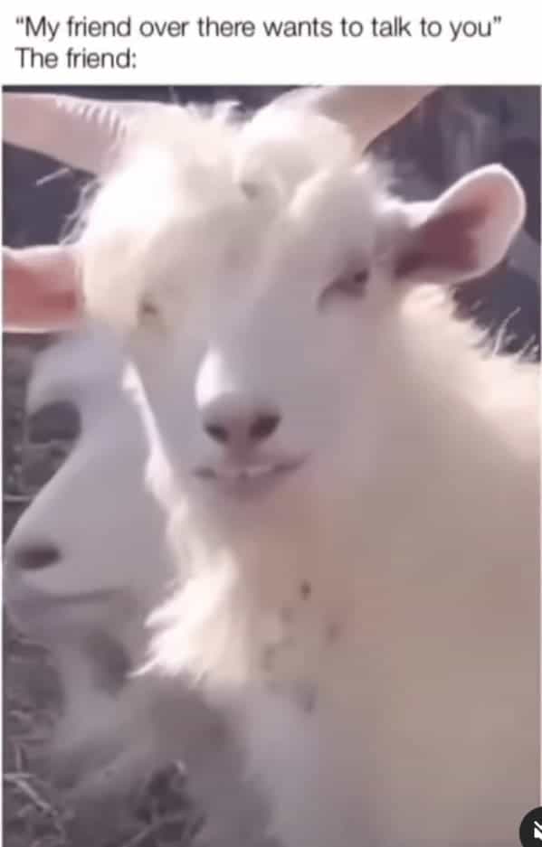 "My friend over there wants to talk to you" The friend: