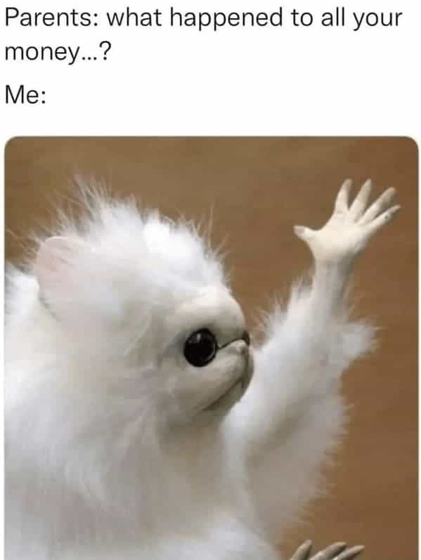 Parents: what happened to all your money...? Me: