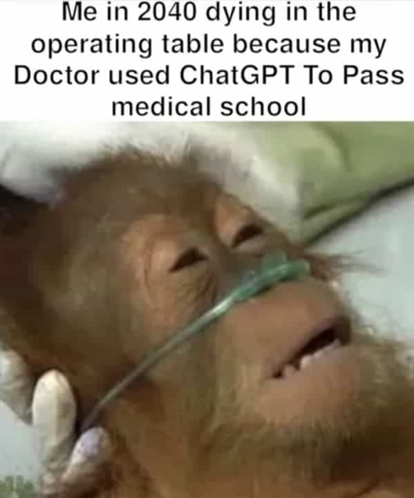 Me in 2040 dying in the operating table because my Doctor used ChatGPT To Pass medical school orangutan