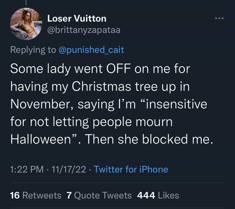 Some lady went OFF on me for having my Christmas tree up in November, saying I'm "insensitive for not letting people mourn Halloween". Then she blocked me.