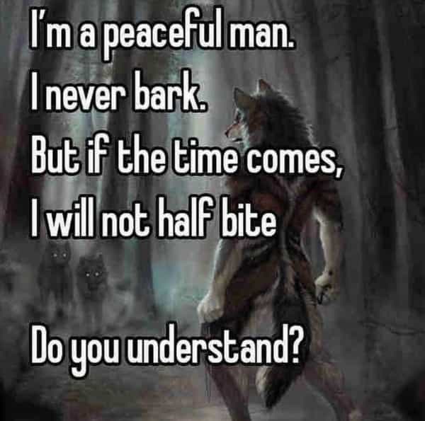 Im a peaceful man. Inever bark. But if the time comes, I will not half bite Do you understand?
