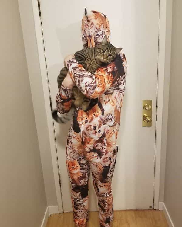 Cat with cat body suit