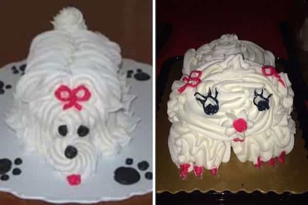 dog cake fail