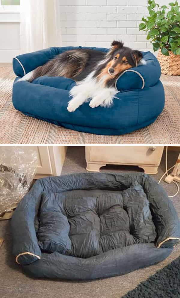 dog bed fail