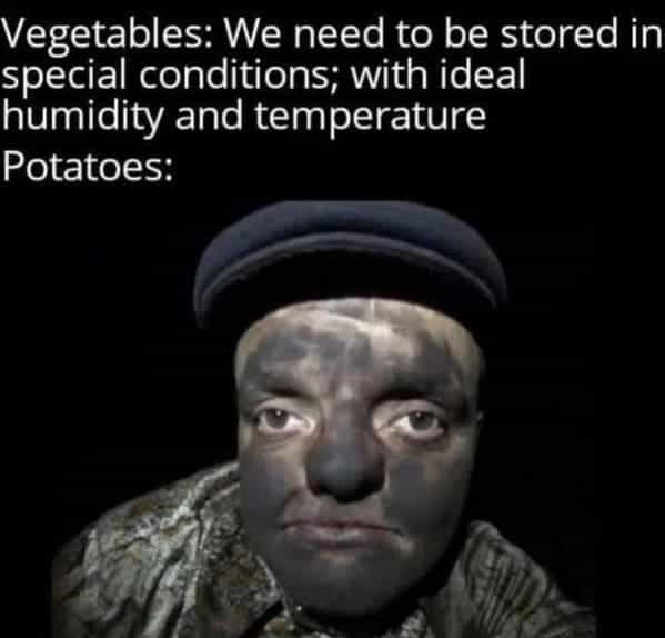 Vegetables: We need to be stored in special conditions; with ideal humidity and temperature Potatoes: