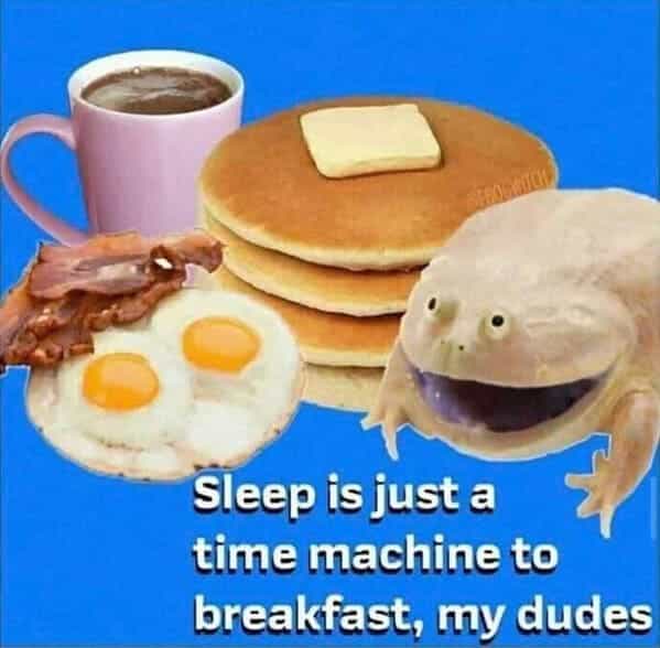 Sleep is just a time machine to breakfast, my dudes