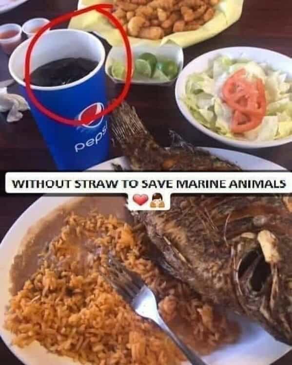 WITHOUT STRAW TO SAVE MARINE ANIMALS