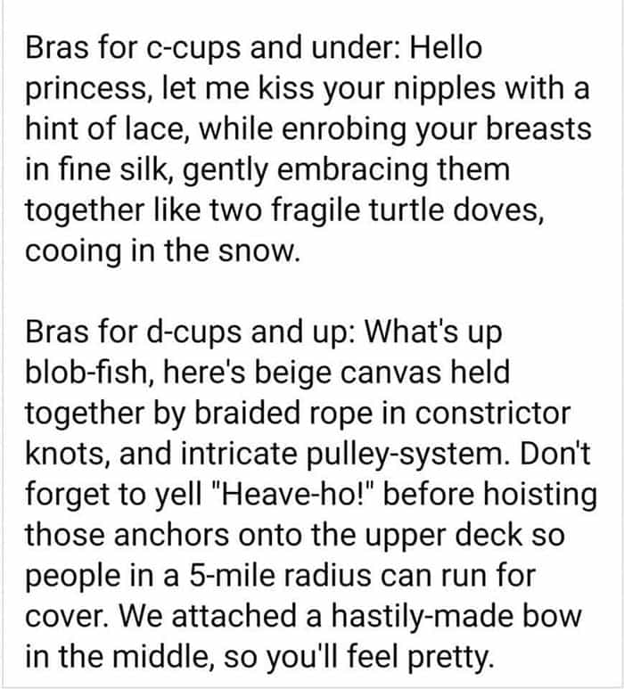Bras for c-cups and under: Hello princess, let me kiss your nipples with a hint of lace, while enrobing your breasts in fine silk, gently embracing them together like two fragile turtle doves, cooing in the snow. Bras for d-cups and up: What's up blob-fish, here's beige canvas held together by braided rope in constrictor knots, and intricate pulley-system. Don't forget to yell "Heave-ho!" before hoisting those anchors onto the upper deck so people in a 5-mile radius can run for cover. We attached a hastily-made bow in the middle, so you'll feel pretty.