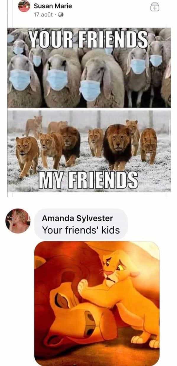 YOUR FRIENDS MY FRIENDS Amanda Sylvester Your friends' kids lions