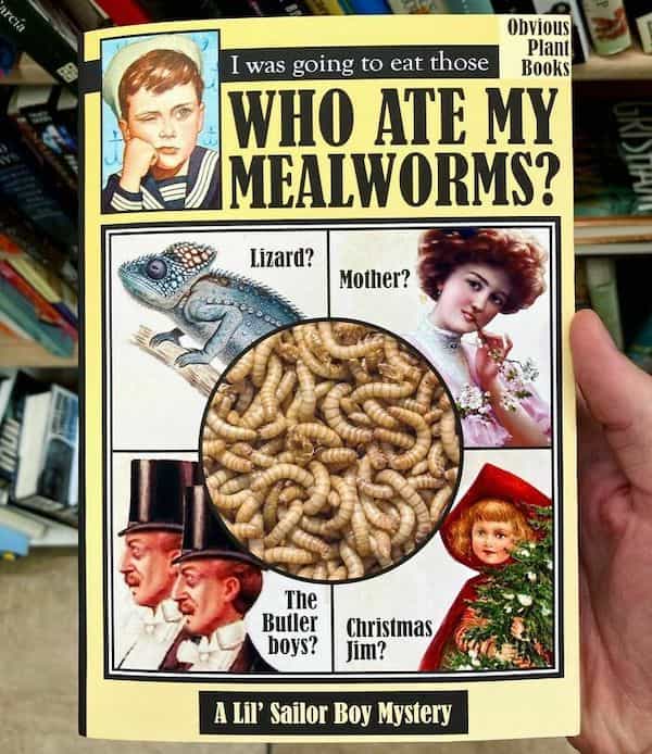 I was going to eat those Plan Books WHO ATE MY MEALWORMS? Lizard? Mother? The Butler boys? Christmas