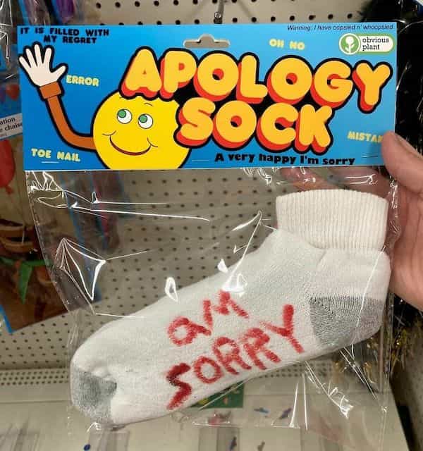 apology sock