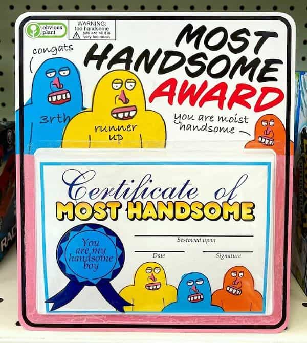 MOST HANDSOME AWARD arth Than are moist runner Ир Certilicate of MOST HANDSONOB