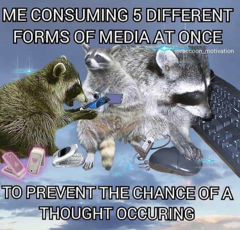 ME CONSUMING 5 DIFFERENT FORMS OF MEDIA AT ONCE @raccoon motivation TO PREVENT THE CHANGE OF A THOUGHT OCCURING