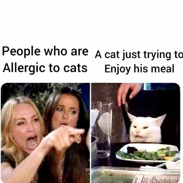 People who are A cat just trying to Allergic to cats Enjoy his meal