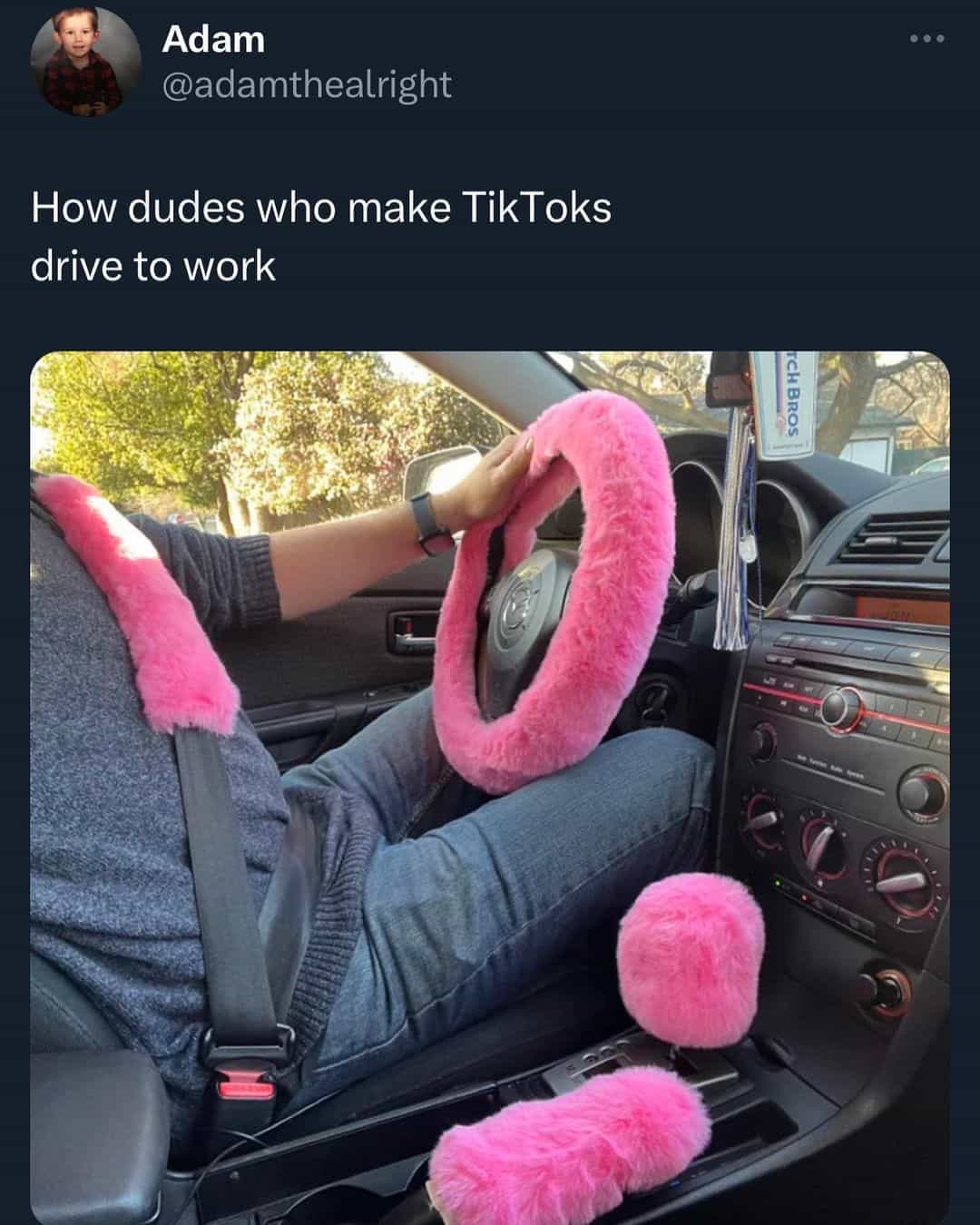 How dudes who make TikToks drive to work