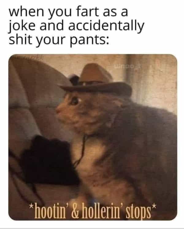 when you fart as a joke and accidentally shit your pants: *hootin' & hollerin' stons*